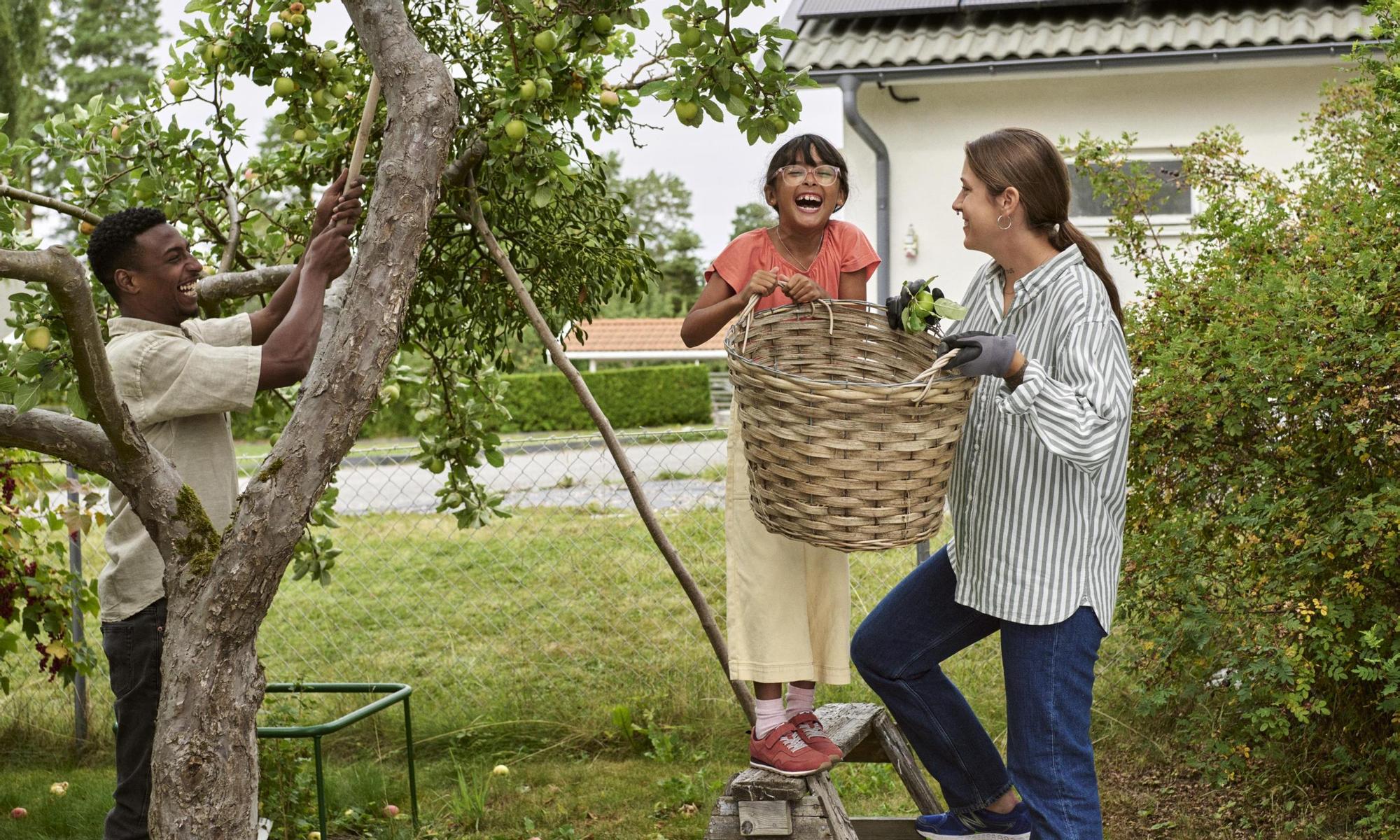Familj packar upp flyttlådor i det nya hemmet