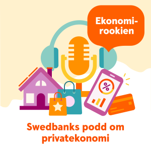 Ekonomirookien